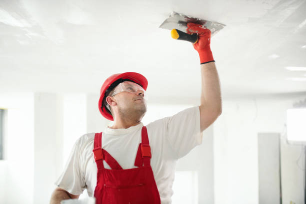 Best Eco-Friendly and Low-VOC Painting  in Dearborn Heights, MI